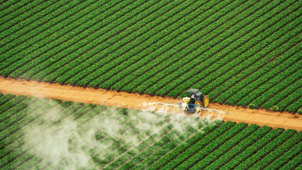 Best Pest Control Cost  in Lake Arbor, MD